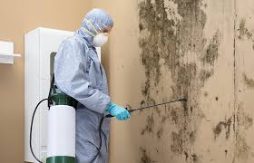 Best Air Quality Testing for Mold Spores  in Eleanor, WV